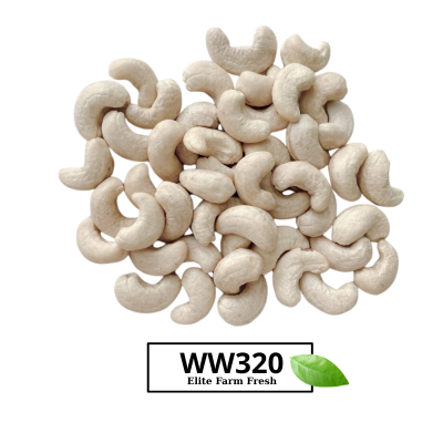HẠT ĐIỀU WW320