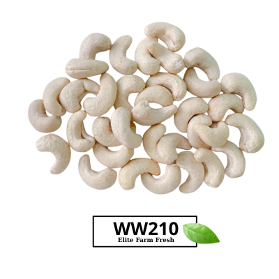 HẠT ĐIỀU WW210
