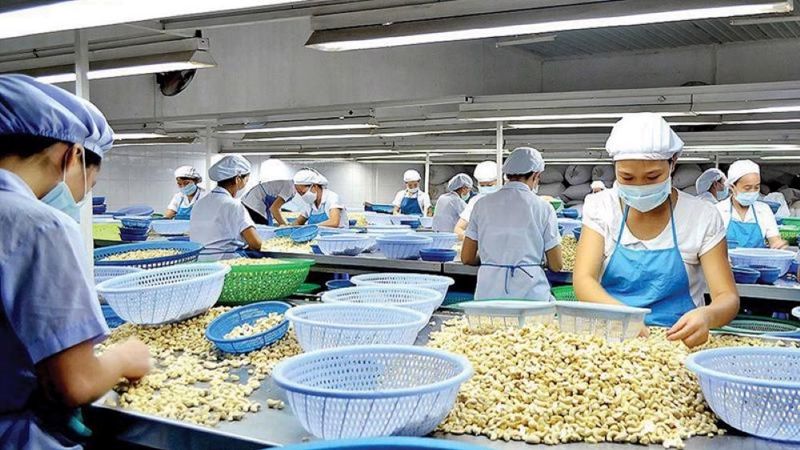 Vì sao nông sản chế biến sâu là tương lai của xuất khẩu Việt Nam?