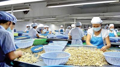 Vì sao nông sản chế biến sâu là tương lai của xuất khẩu Việt Nam?