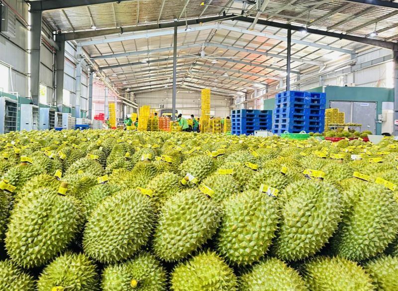 Điểm danh 4 mặt hàng nông sản Việt Nam được thế giới ưa chuộng